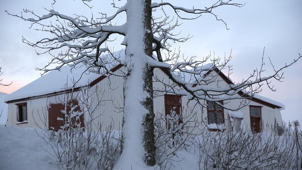 Sel Guesthouse Skalholt Exterior photo